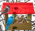 InCollage_20260713_125034483.jpg