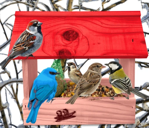 InCollage_20260713_124930205.jpg