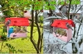 InCollage_20260715_164317730.jpg