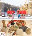 InCollage_20260716_144719244.jpg