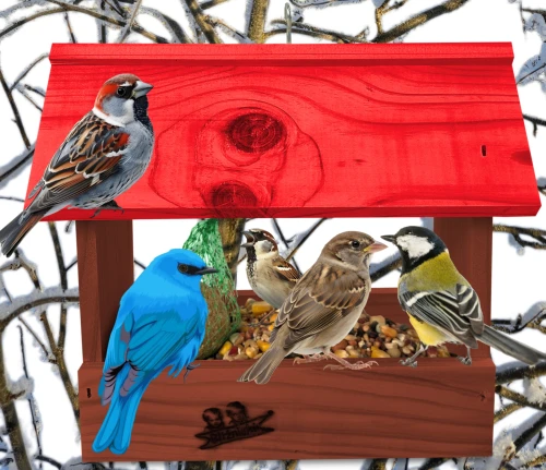 InCollage_20260713_124900747.jpg