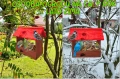 InCollage_20260715_164253444.jpg