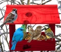 InCollage_20260713_124834193.jpg