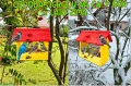 InCollage_20260715_164143398.jpg