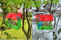 InCollage_20260715_164122338.jpg