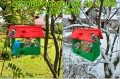 InCollage_20260715_164101269.jpg