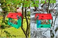 InCollage_20260715_164028092.jpg