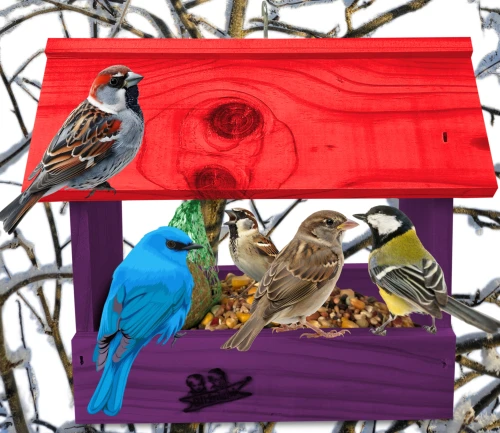 InCollage_20260713_124521956.jpg