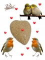 c3834ed94cb0b19db0e84545bb4d