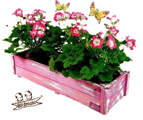 e7f779894c929c6223f037ebbe51