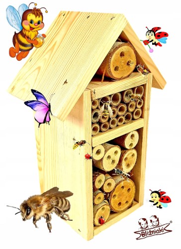 6b176834463abe6baa1e104c8489