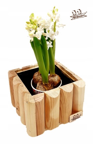 14625eaf4845a9ed152bf5602b2a