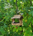 20200108_140253.jpg