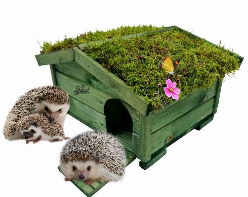 1-20210929_143533 (1).jpg